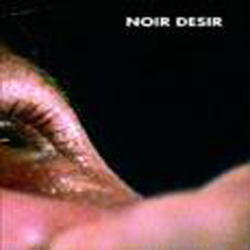 Noir Desir DVD