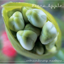 fiona-apple-extraordinary-machine