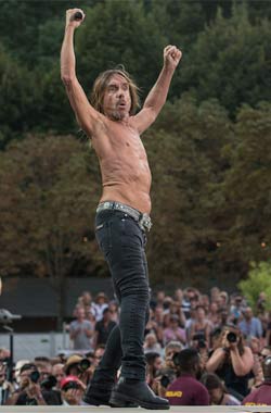 rock-en-seine-iggy-pop.jpg