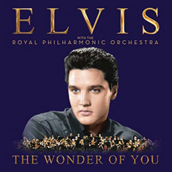 elvis-the-wonder-of-you.jpg