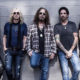 The Dead Daisies 15