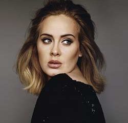 Adele stop son concert pour regarder le match de foot 20