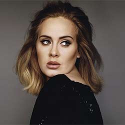 Adele stop son concert pour regarder le match de foot 16