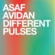 Asaf Avidan <i>Different Pulses</i> 13
