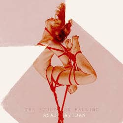 Asaf Avidan : "The Study On Falling" 4