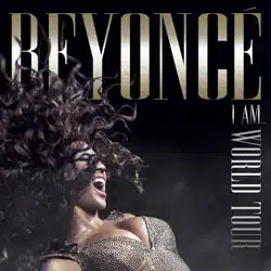 Beyoncé <i>I Am… World Tour</i> 22