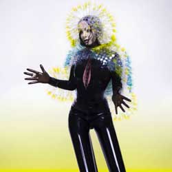 Björk <i>Vulnicura</i> 4