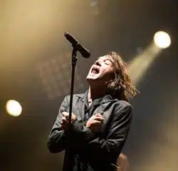 2011 ! Un bon millésime pour Musilac ! 8