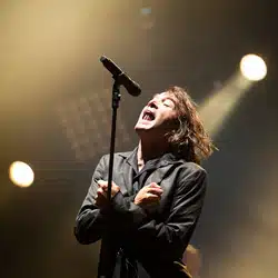 2011 ! Un bon millésime pour Musilac ! 7