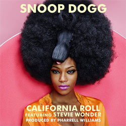 SNOOP DOGG & STEVIE WONDER 4