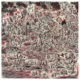 Cass McCombs <i>Big Wheel and Others</i> 15