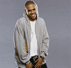 Le domicile de Chris Brown vandalisé par une fan 11