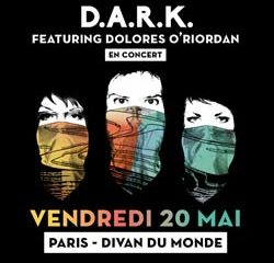 D.A.R.K. en concert au Divan du Monde 11