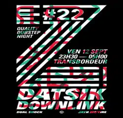 Datsik et Downlink en concert à Lyon 17