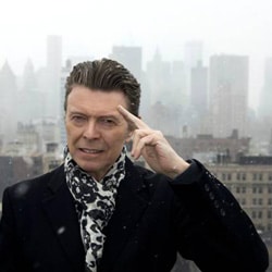 Succès mondial pour David Bowie 28