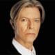 David Bowie recruté par Canal + 19