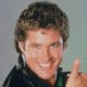 DAVID HASSELHOFF <i>True Survivor</i> 9