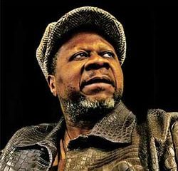 Mort en plein concert du chanteur Papa Wemba 5