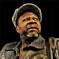 Mort en plein concert du chanteur Papa Wemba 4