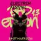 Electron Festival 2016 12