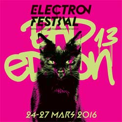 Electron Festival 2016 4