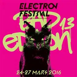 Electron Festival 2016 10