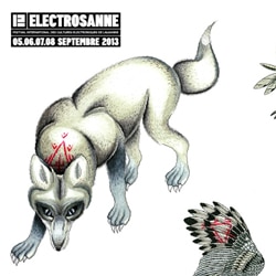 Electrosanne 2013 10