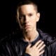 Eminem produira l'album de Skylar Grey 12