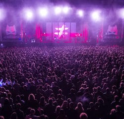 Fauve colore les Nuits Secrètes 8