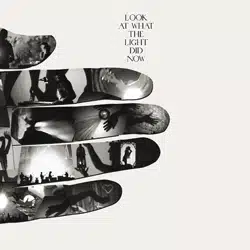 Feist <i>Look at what the light did now</i> 4