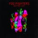 Foo Fighters <i>Wasting Light</i> 18