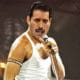 Hommage à Freddie Mercury, mort il y a 25 ans ! 9