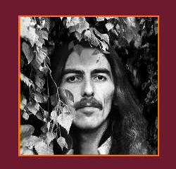 George Harrison : <i>The Complete Collection</i> 14