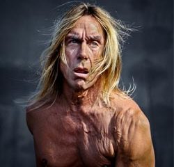 Le nouvel album d'Iggy Pop sort le 18 mars 2016 8
