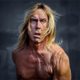 Le nouvel album d'Iggy Pop sort le 18 mars 2016 6