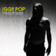 Iggy Pop : Post Pop Depression Live At The Royal Albert Hall 9