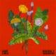 Jamie Lidell <i>Building a Beginning</i> 9