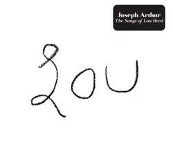 Joseph Arthur rend hommage à Lou Reed 14