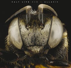 Kaly Live Dub : « Allaxis » 5