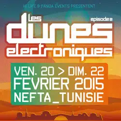 Les Dunes Electroniques 2015 13