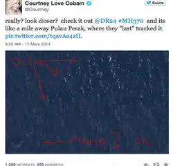 L'avion de la Malaysia Airlines localisé par une star