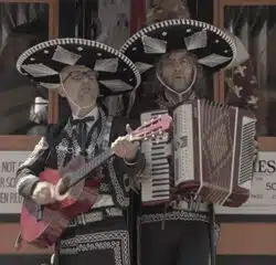 MOBY The Perfect Life 8