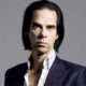 Le fils de Nick Cave chute d'une falaise et se tue 12