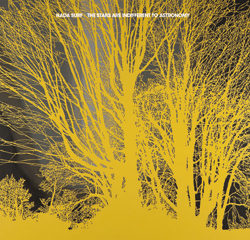 Nada Surf <i>The Stars Are Indifferent to Astronomy</i> 11