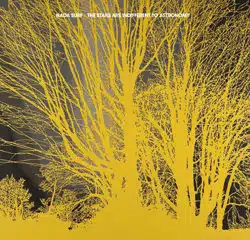 Nada Surf <i>The Stars Are Indifferent to Astronomy</i> 11