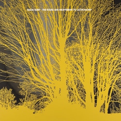 Nada Surf <i>The Stars Are Indifferent to Astronomy</i> 22