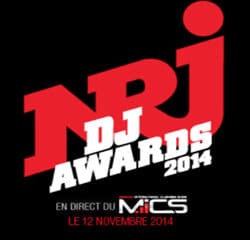 Pluie de stars aux NRJ DJ Awards 2014 10