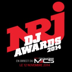 Pluie de stars aux NRJ DJ Awards 2014 4