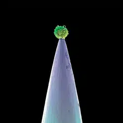 PETER GABRIEL New Blood 4