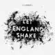 PJ Harvey <i>Let England Shake</i> 27